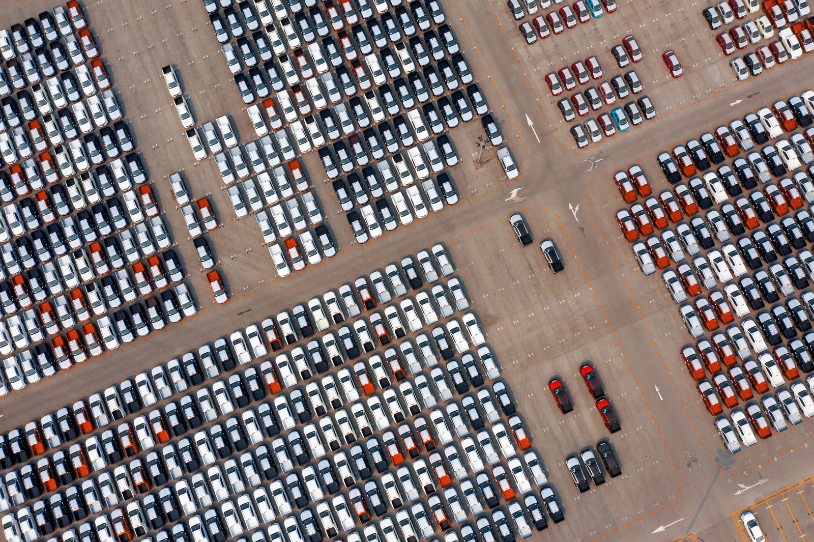 How to vet a car transport company MC number reviews insurance
